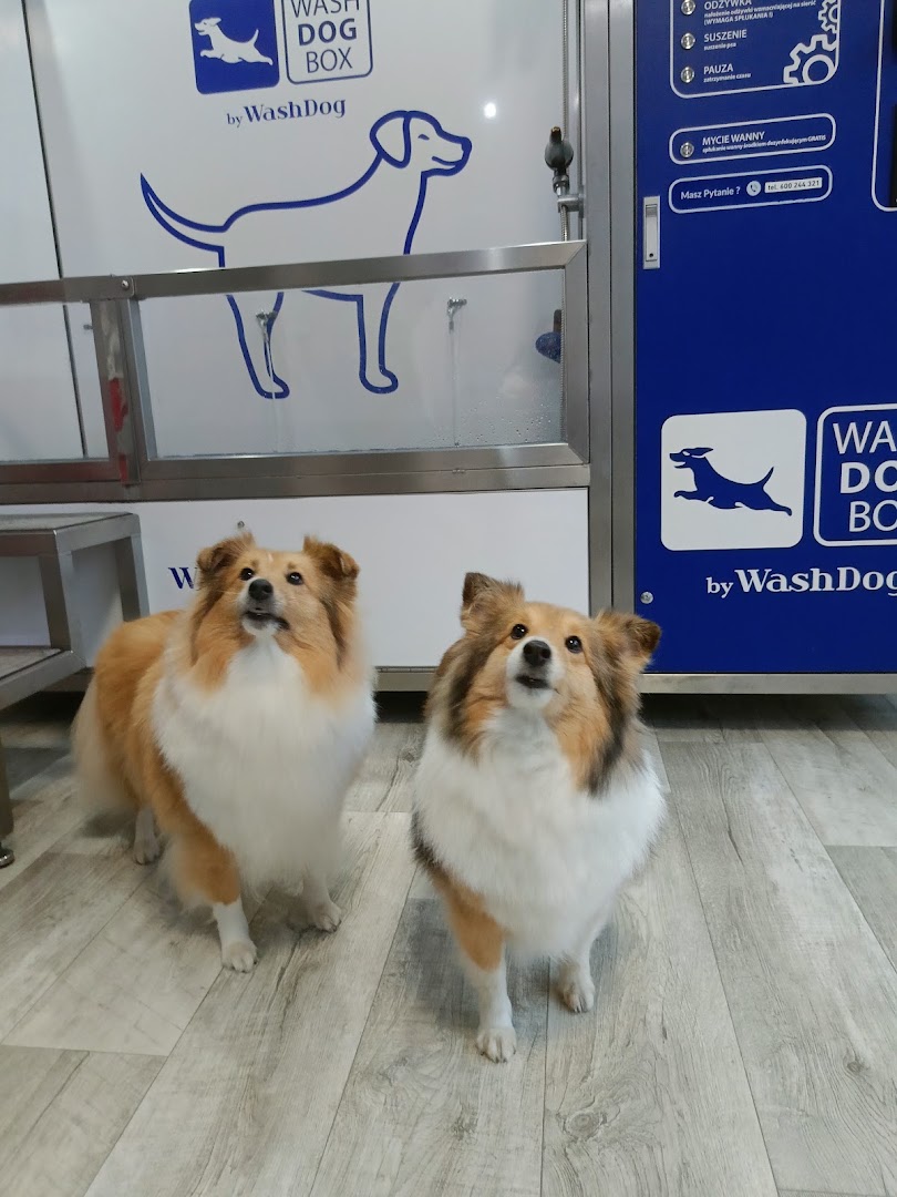 Samoobsługowa Myjnia Dla Psa - Lucky Dog · Zdjęcia 2