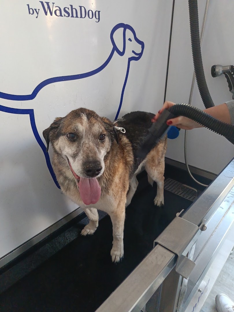 Samoobsługowa Myjnia Dla Psa - Lucky Dog · Zdjęcia 7