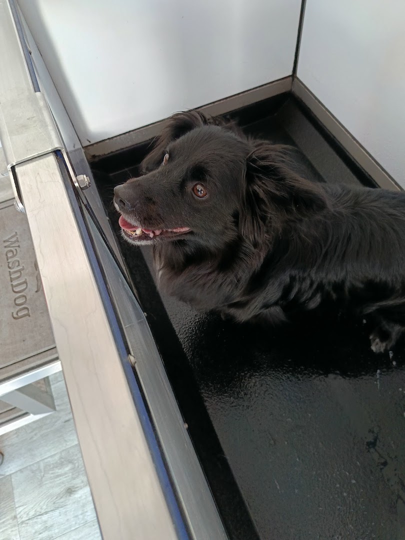 Samoobsługowa Myjnia Dla Psa - Lucky Dog · Zdjęcia 6