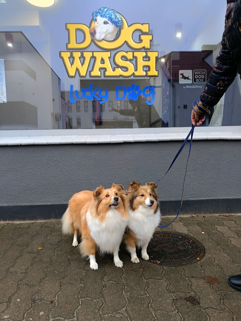 Samoobsługowa Myjnia Dla Psa - Lucky Dog · Zdjęcia 5