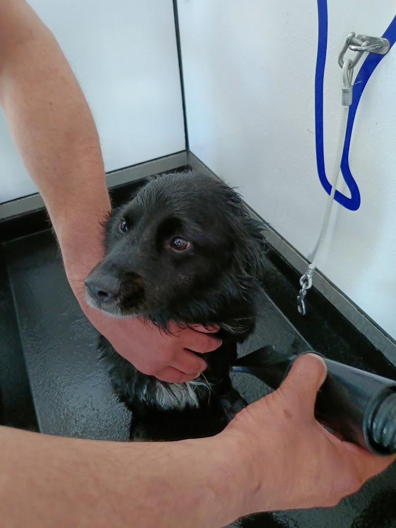 Samoobsługowa Myjnia Dla Psa - Lucky Dog · Zdjęcia 9