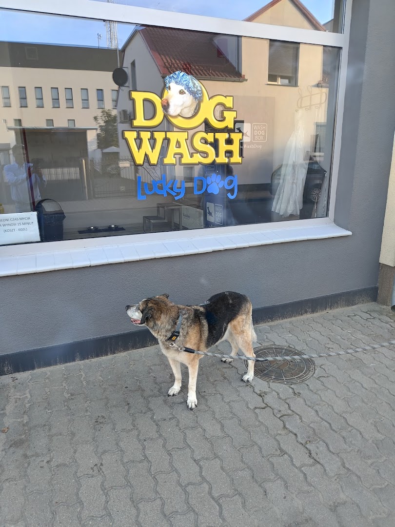 Samoobsługowa Myjnia Dla Psa - Lucky Dog · Zdjęcia 10