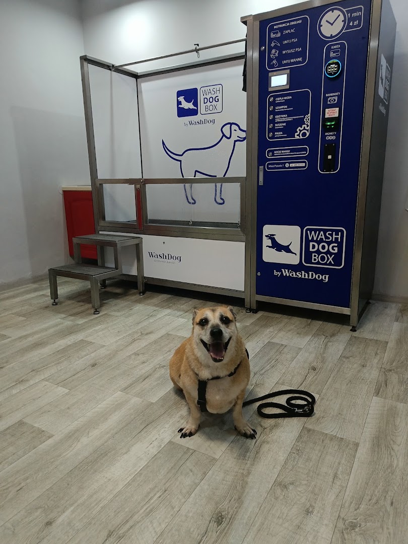 Samoobsługowa Myjnia Dla Psa - Lucky Dog · Zdjęcia 4